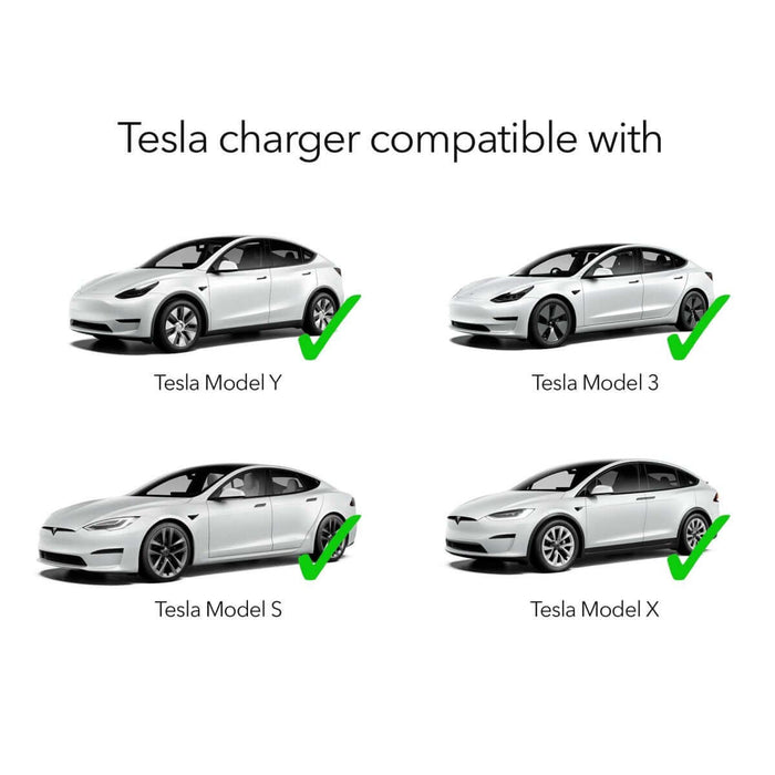 Lectron Portable Level 1 Tesla Charger + CCS to Tesla Adapter + J1772 to Tesla Adapter Bundle | 110V | 15 Amp | NEMA 5-15
